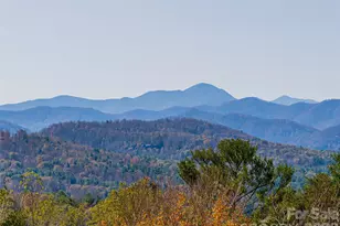 50 Park Ave, Asheville, NC 28803 - Photo 6