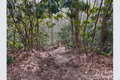 Tbd Cherrywood Lane #L-12, Pisgah Forest, NC 28768 - Photo 2