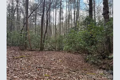 Tbd Cherrywood Lane #L-12, Pisgah Forest, NC 28768 - Photo 16