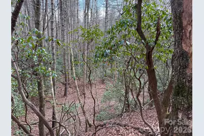 Tbd Cherrywood Lane #L-12, Pisgah Forest, NC 28768 - Photo 6
