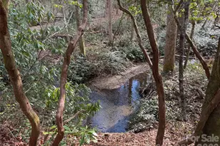 Tbd Cherrywood Ln, Pisgah Forest, NC 28768 - Photo 1