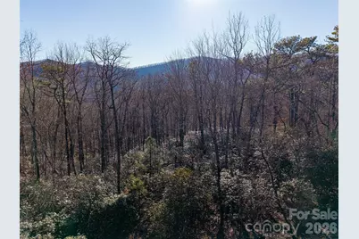 92 Smokey Ridge Trail, Arden, NC 28704 - Photo 12