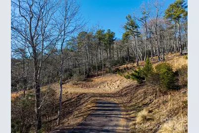 92 Smokey Ridge Trail, Arden, NC 28704 - Photo 8