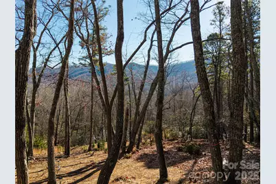 92 Smokey Ridge Trail, Arden, NC 28704 - Photo 1