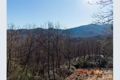 92 Smokey Ridge Trail, Arden, NC 28704 - Photo 12