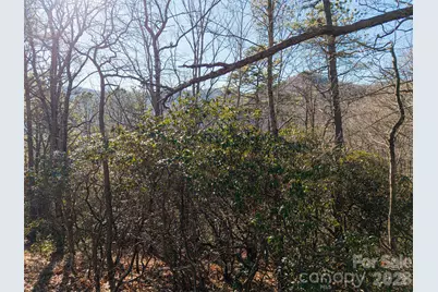 92 Smokey Ridge Trail, Arden, NC 28704 - Photo 16