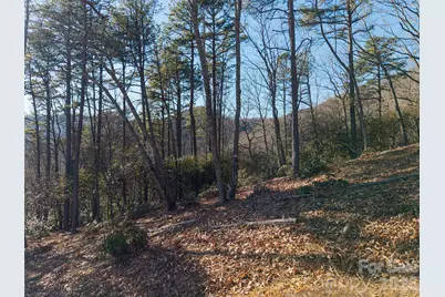 92 Smokey Ridge Trail, Arden, NC 28704 - Photo 4