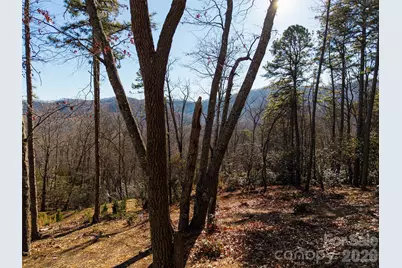92 Smokey Ridge Trail, Arden, NC 28704 - Photo 2