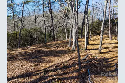 92 Smokey Ridge Trail, Arden, NC 28704 - Photo 4