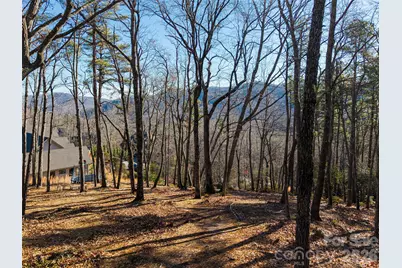 92 Smokey Ridge Trail, Arden, NC 28704 - Photo 6
