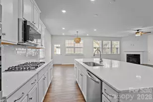 15721 White Quartz Ln, Davidson, NC 28036 - Photo 10