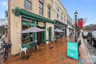 233 Twain Ave, Davidson, NC 28036 - Photo 34