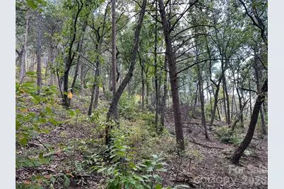 0 Hildebran Mountain Avenue, Connelly Springs, NC 28612 - Photo 10