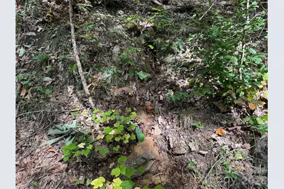 0 Hildebran Mountain Avenue, Connelly Springs, NC 28612 - Photo 16