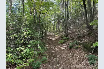 0 Hildebran Mountain Avenue, Connelly Springs, NC 28612 - Photo 8