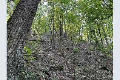 0 Hildebran Mountain Avenue, Connelly Springs, NC 28612 - Photo 28