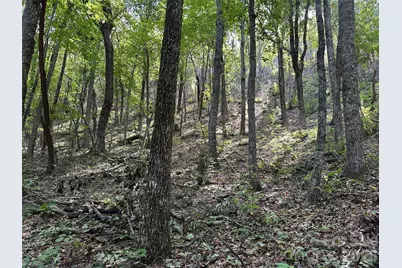 0 Hildebran Mountain Avenue, Connelly Springs, NC 28612 - Photo 22