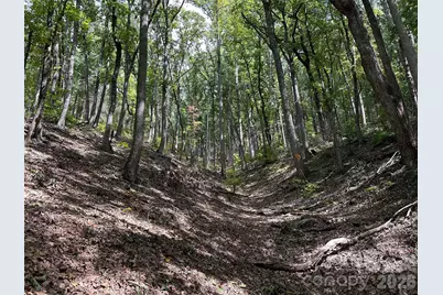 0 Hildebran Mountain Avenue, Connelly Springs, NC 28612 - Photo 14