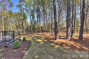 18802 Pentwater Ct, Cornelius, NC 28031 - Photo 46