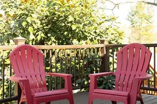 41 Mildred Ave, Asheville, NC 28806 - Photo 14