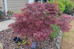 161 Hidden Lakes Rd, Statesville, NC 28677 - Photo 44