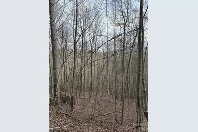 0 White Fawn Drive, Spruce Pine, NC 28777 - Photo 12