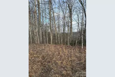 0 White Fawn Drive, Spruce Pine, NC 28777 - Photo 2