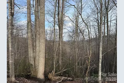 0 White Fawn Drive, Spruce Pine, NC 28777 - Photo 4