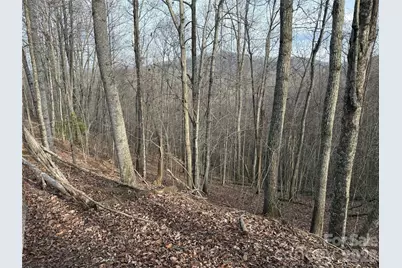 0 White Fawn Drive, Spruce Pine, NC 28777 - Photo 6