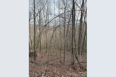 0 White Fawn Drive, Spruce Pine, NC 28777 - Photo 10