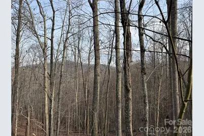 0 White Fawn Drive, Spruce Pine, NC 28777 - Photo 8