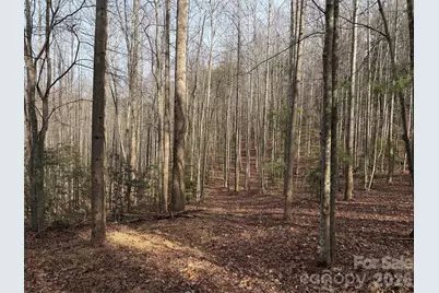 Tbd W Meadows Road, Moravian Falls, NC 28654 - Photo 36