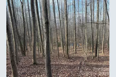Tbd W Meadows Road, Moravian Falls, NC 28654 - Photo 34