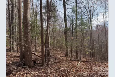 Tbd W Meadows Road, Moravian Falls, NC 28654 - Photo 32