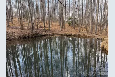 Tbd W Meadows Road, Moravian Falls, NC 28654 - Photo 24