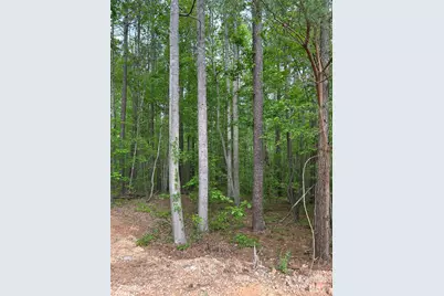 7300 Bay Cove Court, Lake Norman of Catawba, NC 28037 - Photo 1