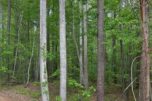 7300 Bay Cove Ct, Lake Norman of Catawba, NC 28037 - Photo 1