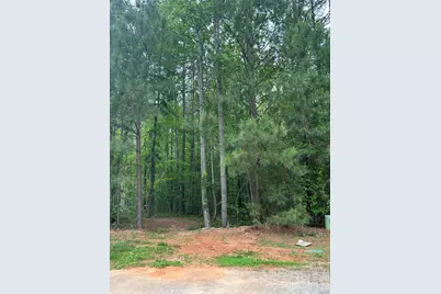 7300 Bay Cove Court, Lake Norman of Catawba, NC 28037 - Photo 4