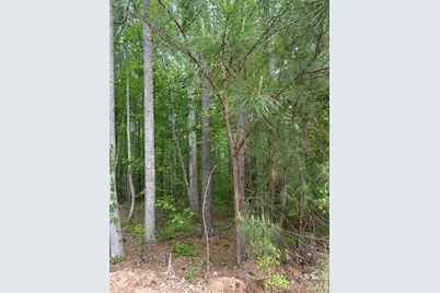 7300 Bay Cove Court, Lake Norman of Catawba, NC 28037 - Photo 2