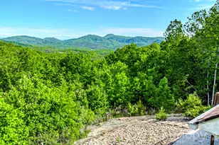 485 Mountain Lookout Dr, Bostic, NC 28018 - Photo 40