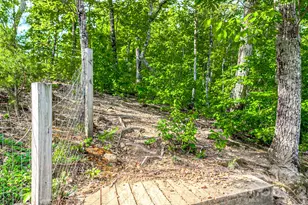 485 Mountain Lookout Dr, Bostic, NC 28018 - Photo 46