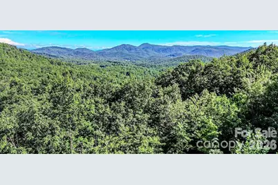 485 Mountain Lookout Drive, Bostic, NC 28018 - Photo 32