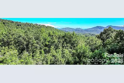 485 Mountain Lookout Drive, Bostic, NC 28018 - Photo 28