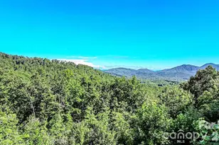 485 Mountain Lookout Dr, Bostic, NC 28018 - Photo 28