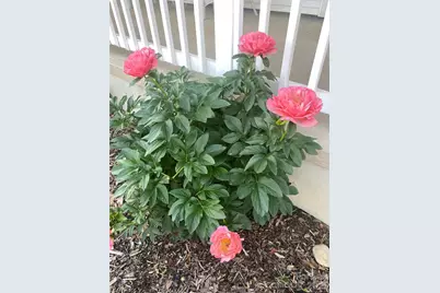 109 Paradise Circle, Clyde, NC 28721 - Photo 40