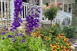 109 Paradise Cir, Clyde, NC 28721 - Photo 38