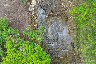 3739 Pickens Hwy, Rosman, NC 28772 - Photo 10