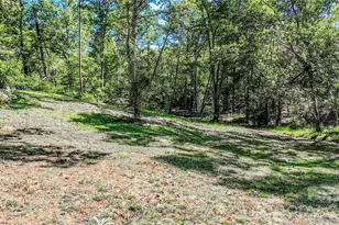 142 Padgett-Burns Rd, Forest City, NC 28043 - Photo 44