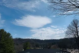 121 Burning Tree Ln, Flat Rock, NC 28731 - Photo 32