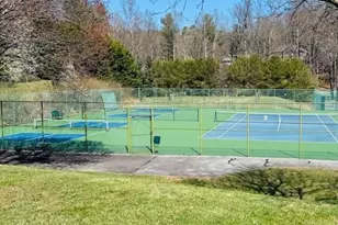 121 Burning Tree Ln, Flat Rock, NC 28731 - Photo 38